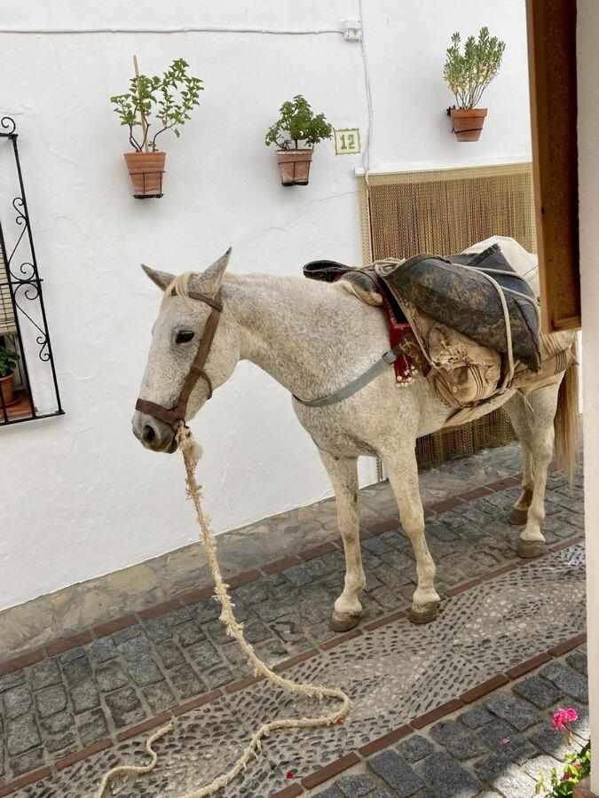Casa Rural Villa Sila Benalauría Buitenkant foto